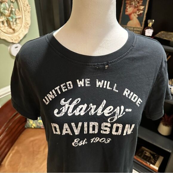 United We Ride Harley T - Picture 3 of 8